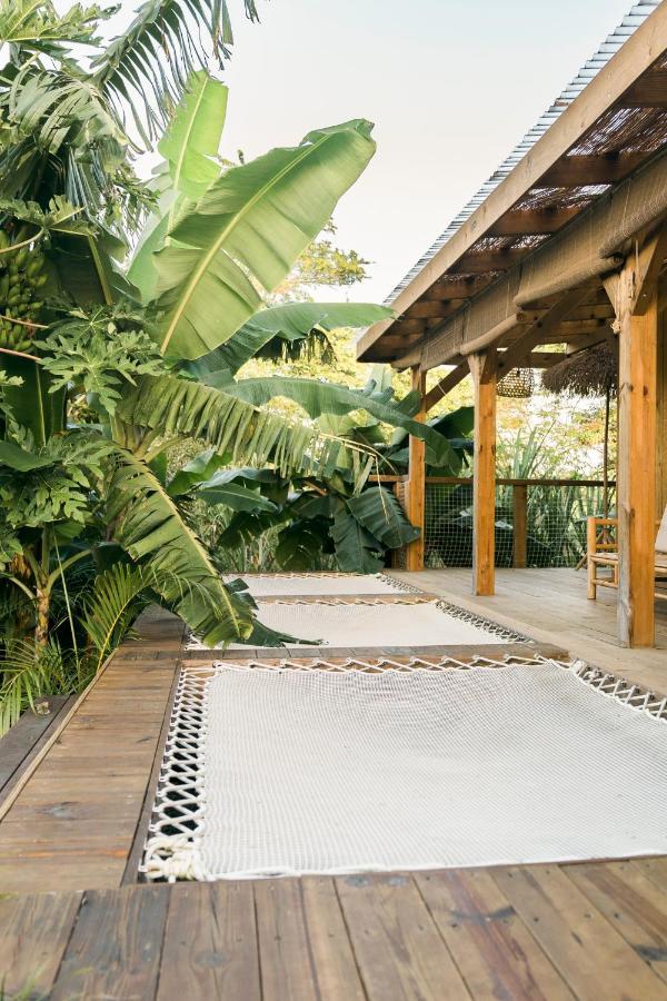 Anacardier - Cabanon Luxe Pleine Nature Hébergement de vacances