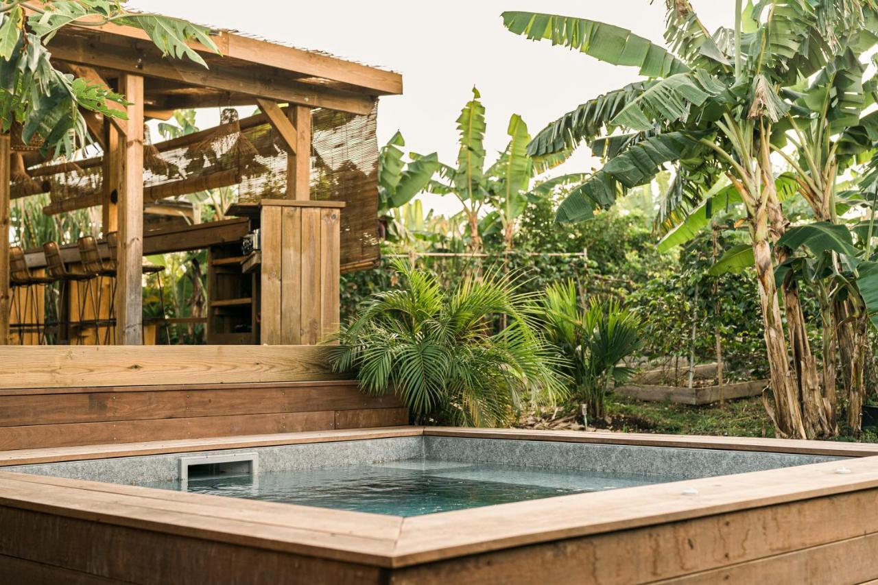 Anacardier - Cabanon Luxe Pleine Nature
