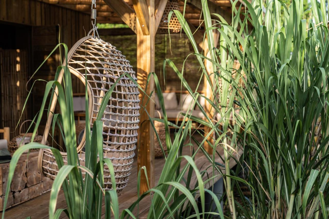 Anacardier - Cabanon Luxe Pleine Nature