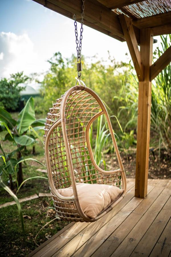 Hébergement de vacances Anacardier - Cabanon Luxe Pleine Nature