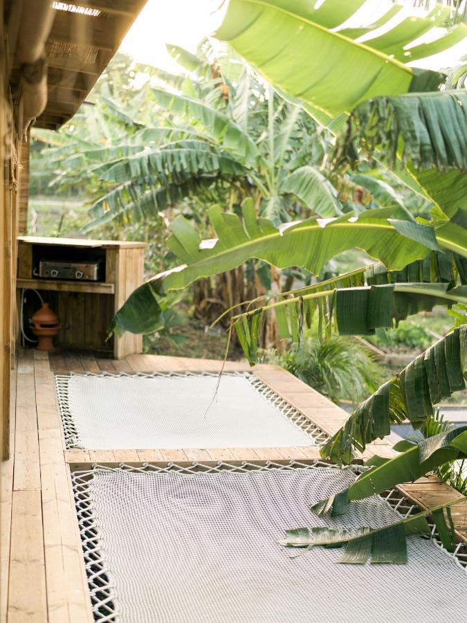 Anacardier - Cabanon Luxe Pleine Nature * Saint-Francois (Grande-Terre)