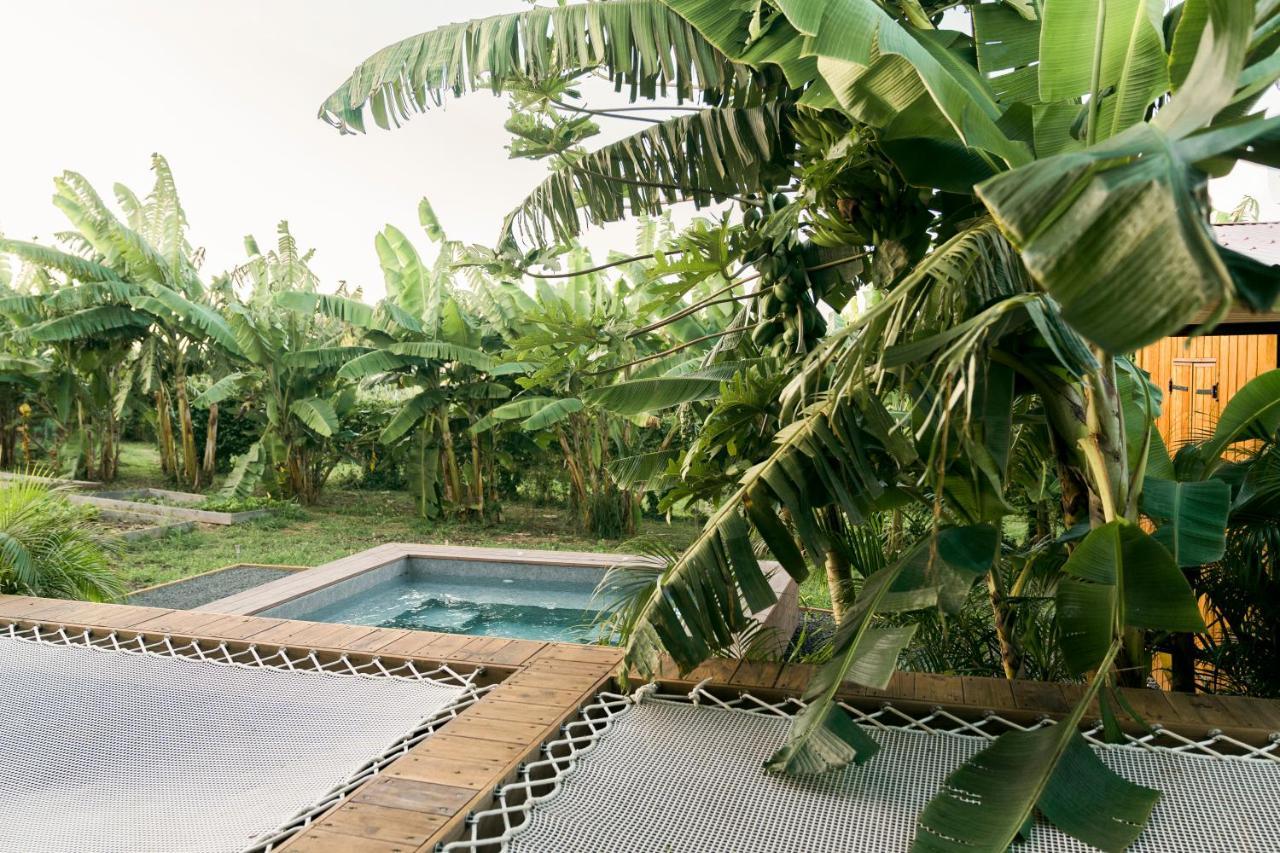 Hébergement de vacances Anacardier - Cabanon Luxe Pleine Nature *