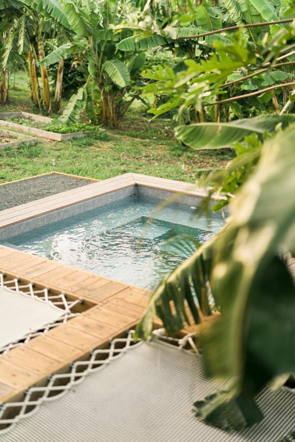 Hébergement de vacances Anacardier - Cabanon Luxe Pleine Nature